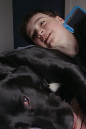 Moi et mon chien