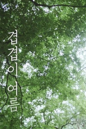 겹겹이 여름