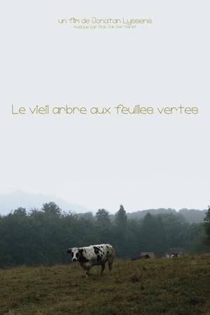 Le vieil arbre aux feuilles vertes