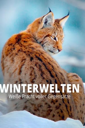 Terra X - Wilde Winterwelten