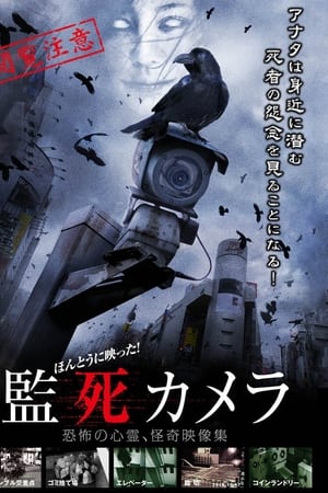Hontou ni Utsutta Kanshi Camera