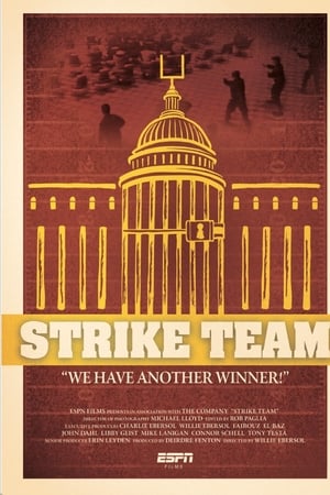 Strike Team