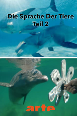 Die Eloquenz der Tiere (2/2)