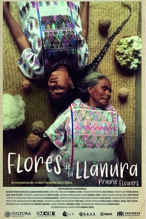 Flores de la llanura