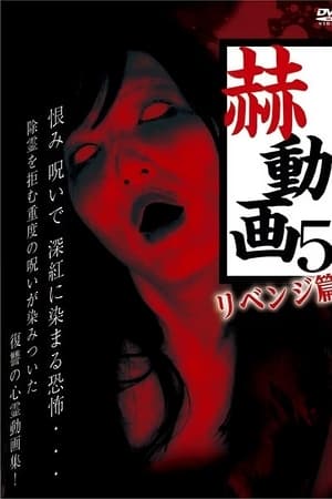 赫動画 5 リベンジ篇