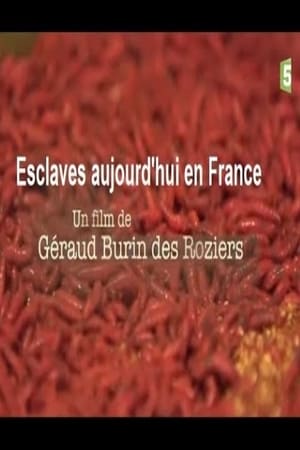 Esclaves aujourd'hui en France
