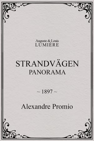 Strandvägen : panorama