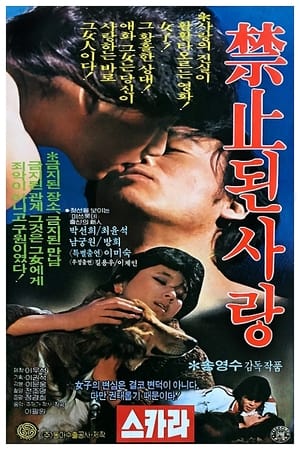 금지된 사랑