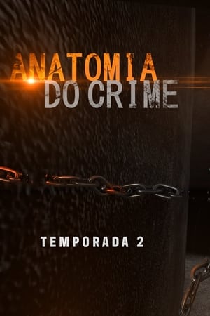 Anatomia do Crime第2季