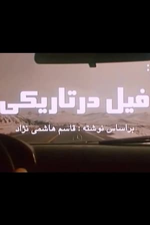 فیل در تاریکی