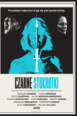 Czarne stokrotki