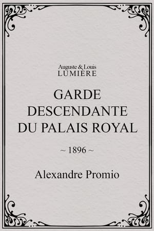 Garde descendante du palais royal