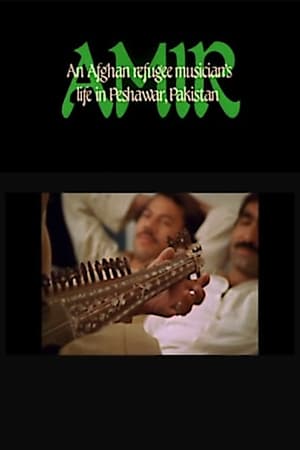 Amir: An Afghan Refugee Musician's Life in Peshawar, Pakistan