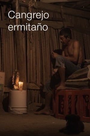 Cangrejo ermitaño