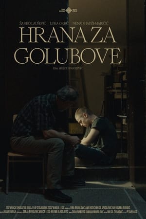 Hrana za golubove