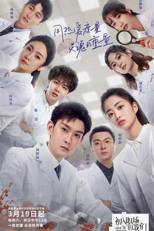 初入职场的我们第2季