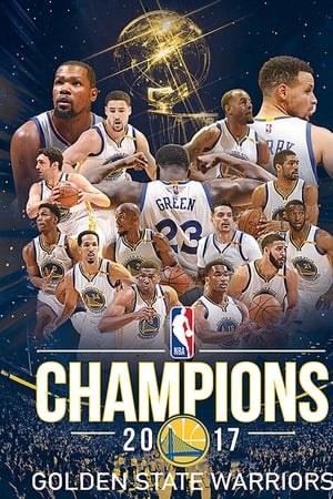 2016-2017 NBA总冠军：金州勇士