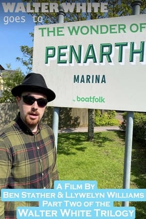 Walter White Goes to The Wonder of Penarth