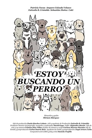 Estoy buscando un perro