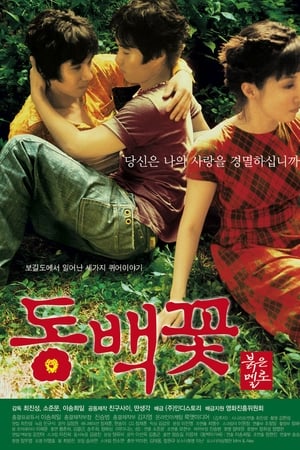 冬柏花