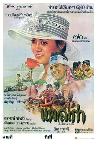 แผลเก่า