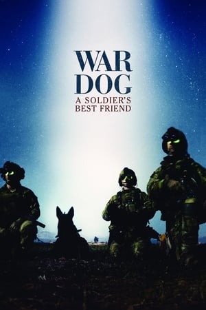 军犬：士兵最好的朋友