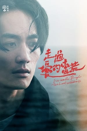 走过爱的蛮荒