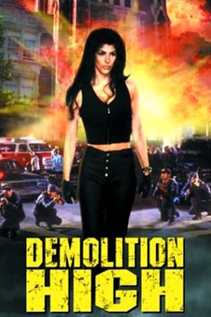 Demolition High
