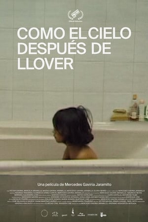 Como el cielo después de llover