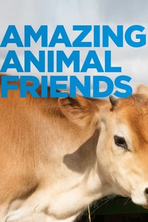Amazing Animal Friends