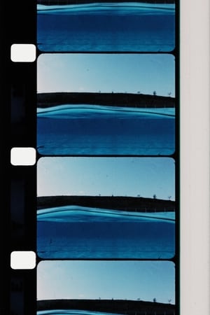 Group II: Water/Contemplating