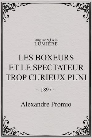 Les boxeurs et le spectateur trop curieux puni