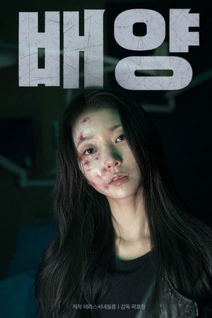 배양