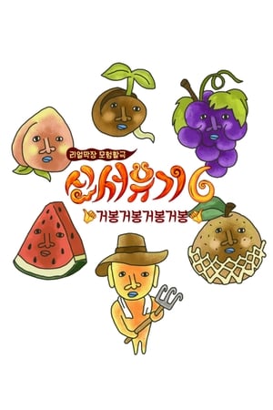 新西游记第 6 季