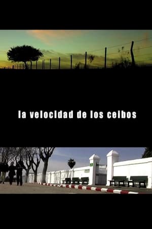 La Velocidad de los Ceibos