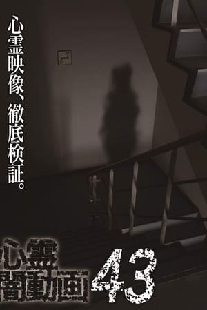 心霊闇動画43