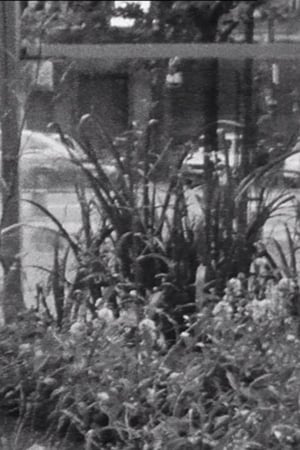 Passers-by