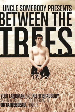 Between The Trees