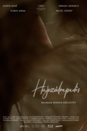 Hajszálrepedés