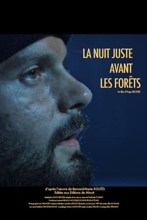 La nuit juste avant les forêts