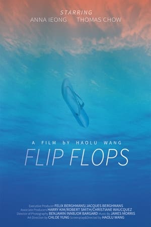 Flip Flops