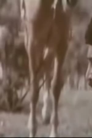 Gözlə Məni