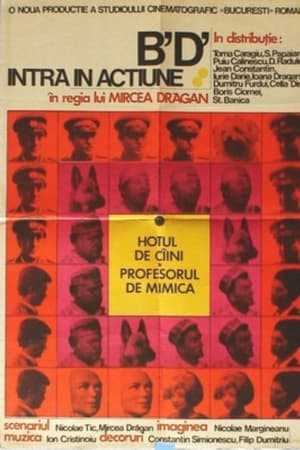 Brigada Diverse intră în acțiune