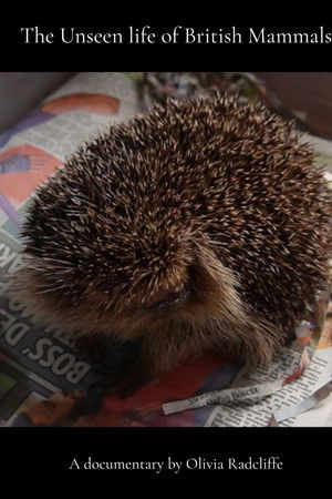 The Unseen life of British Mammals