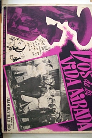 Dos de la vida airada