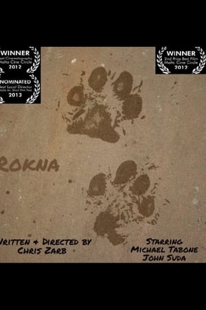 Rokna