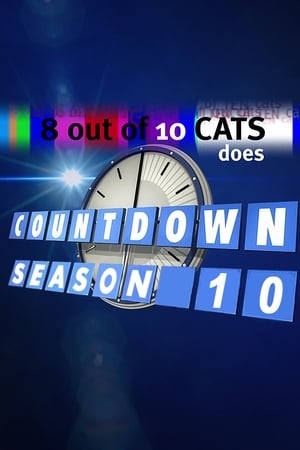 10只猫中有8只会倒计时第10季