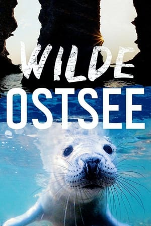 Wilde Ostsee