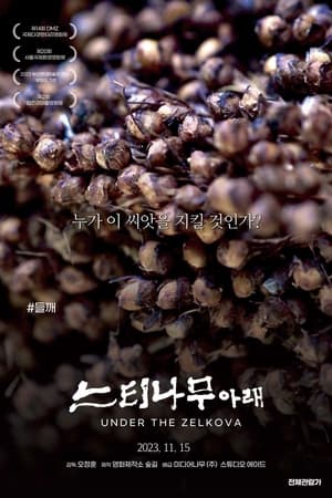느티나무 아래