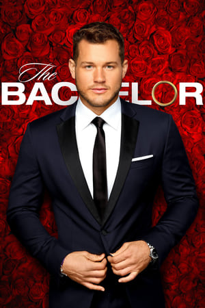 The Bachelor第23季